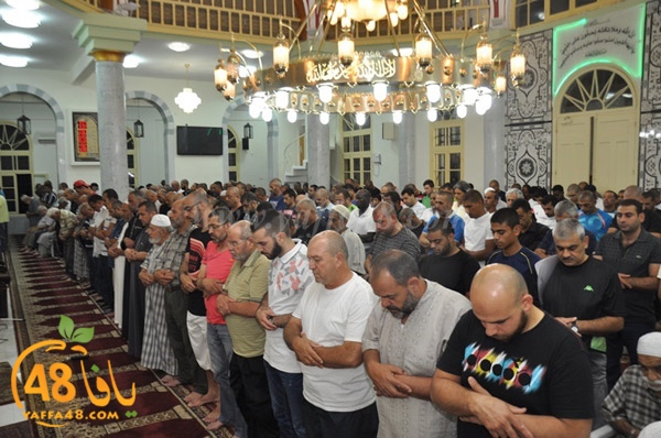 tarawee7 salah nozha (4).JPG